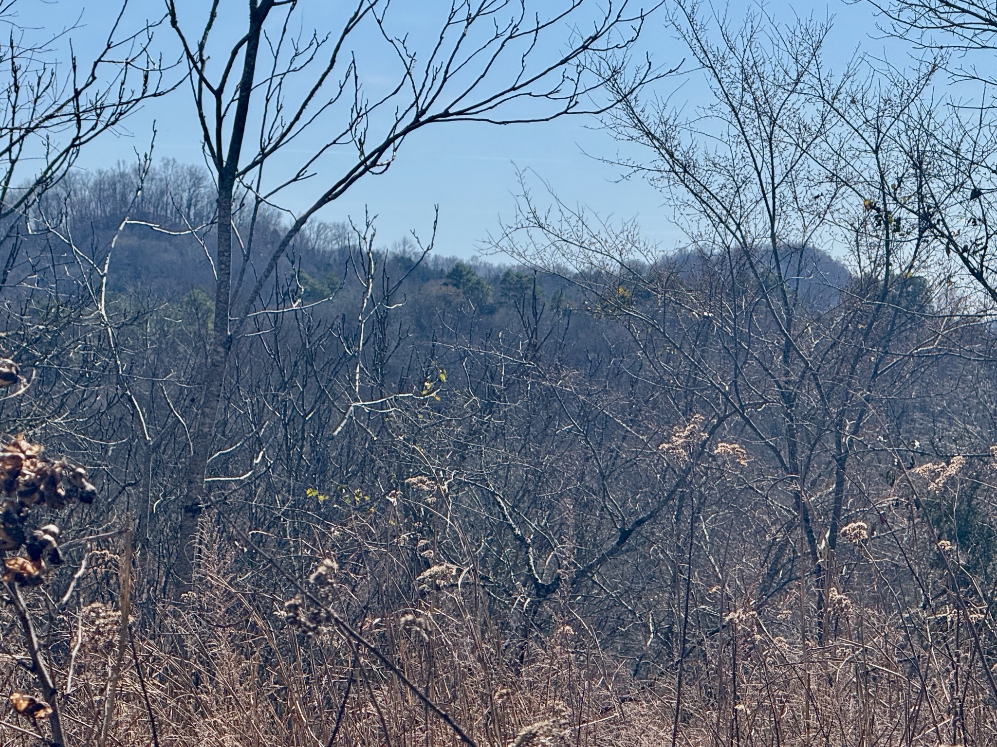 588 Club Springs Road Buffalo Valley, TN 38548 - Photo 60 of 72