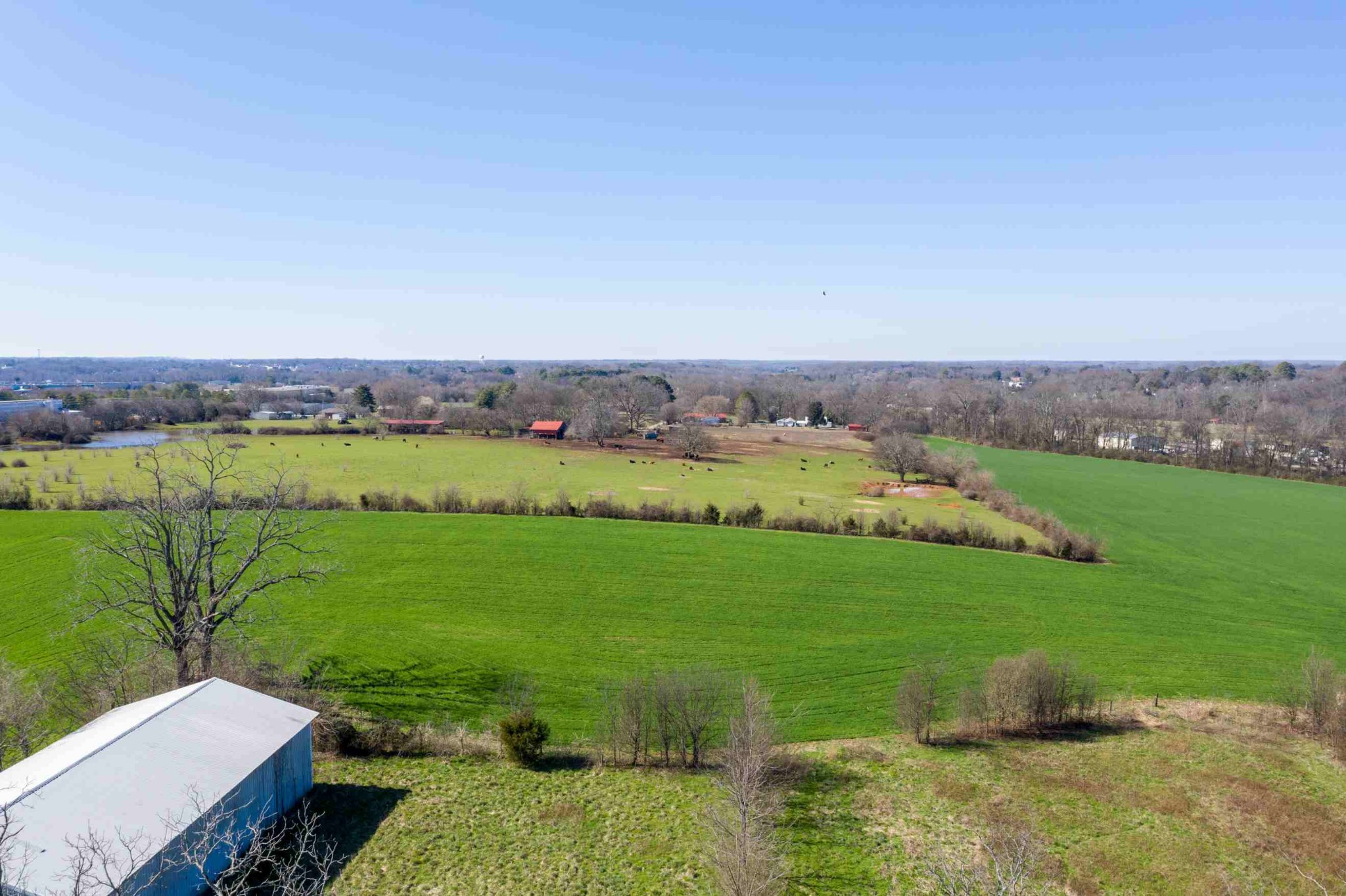 594 Modena Road Decherd, TN 37324 - Photo 13 of 21 Gallery Image 13