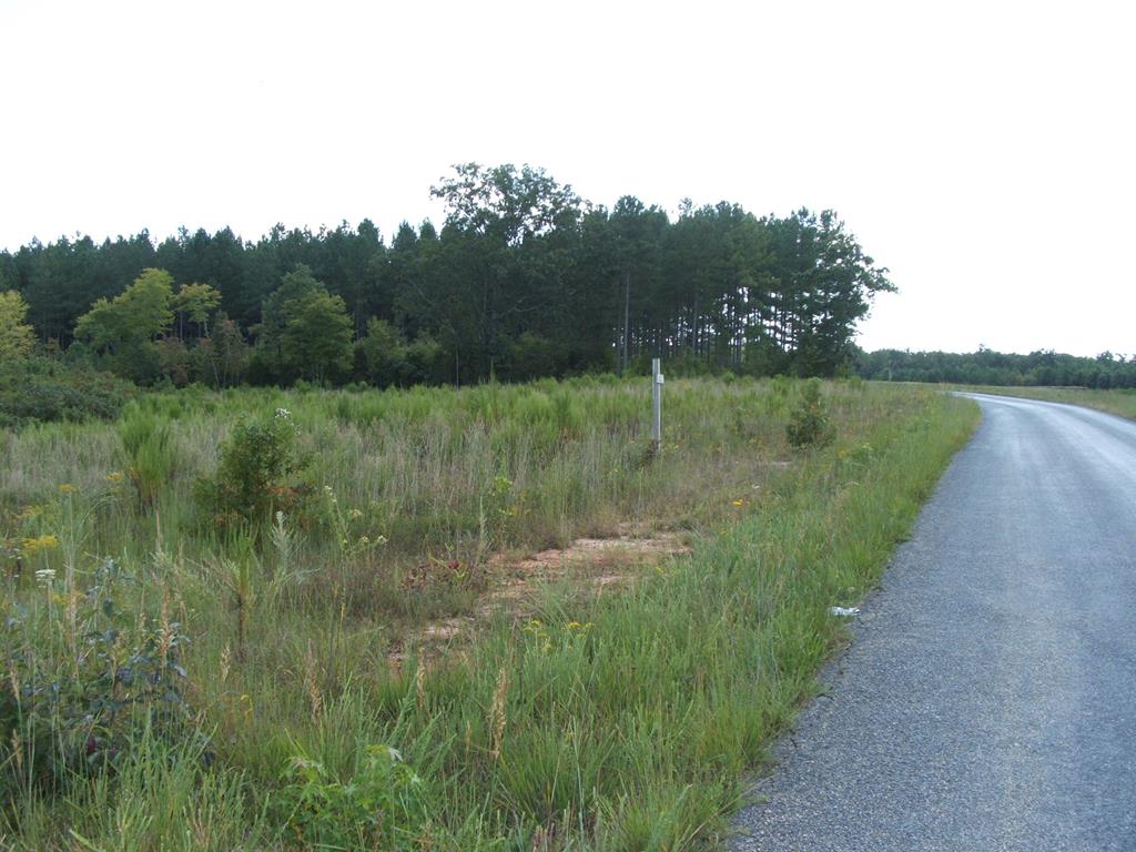 632 Newcomb Bridge Road Chase City, VA 23924 - Photo 7 of 7 Gallery Image 7