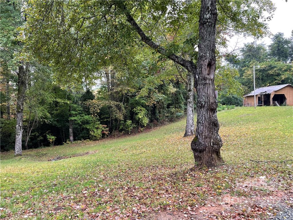 278 Pipers Neck Rutherfordton, NC 28139 - Photo 34 of 42 a view of a yard with a tree