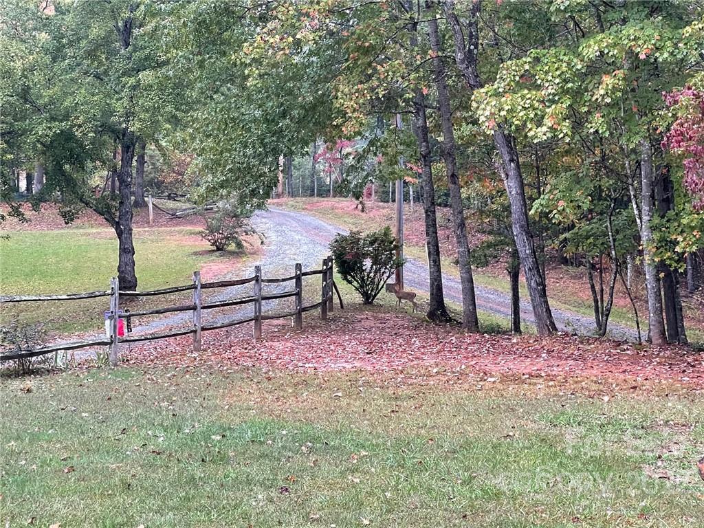 278 Pipers Neck Rutherfordton, NC 28139 - Photo 38 of 42 a view of a park with large trees