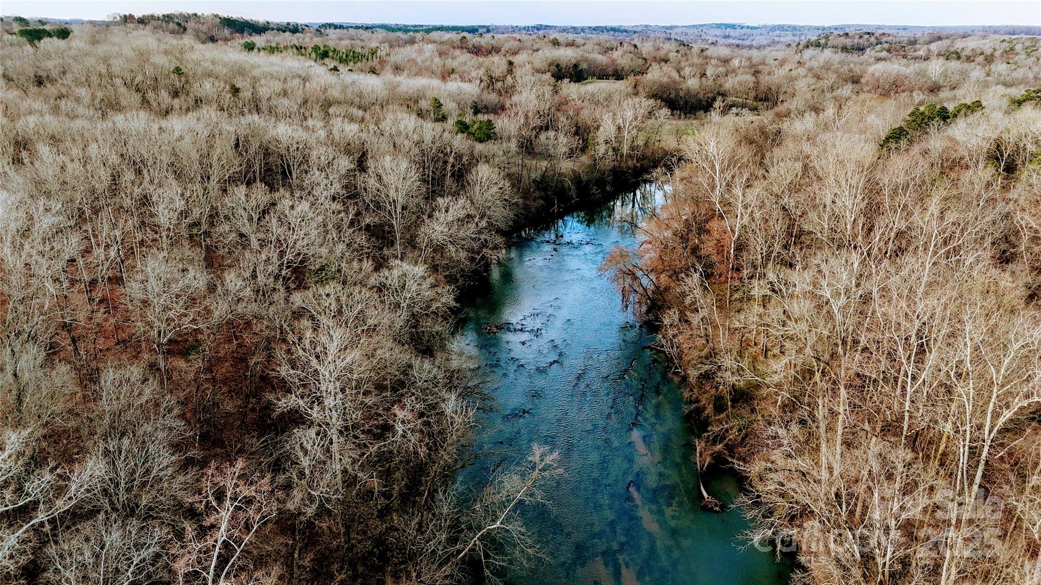 a view of a lake with a forest