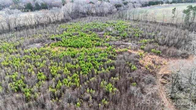 a view of a garden with a tree