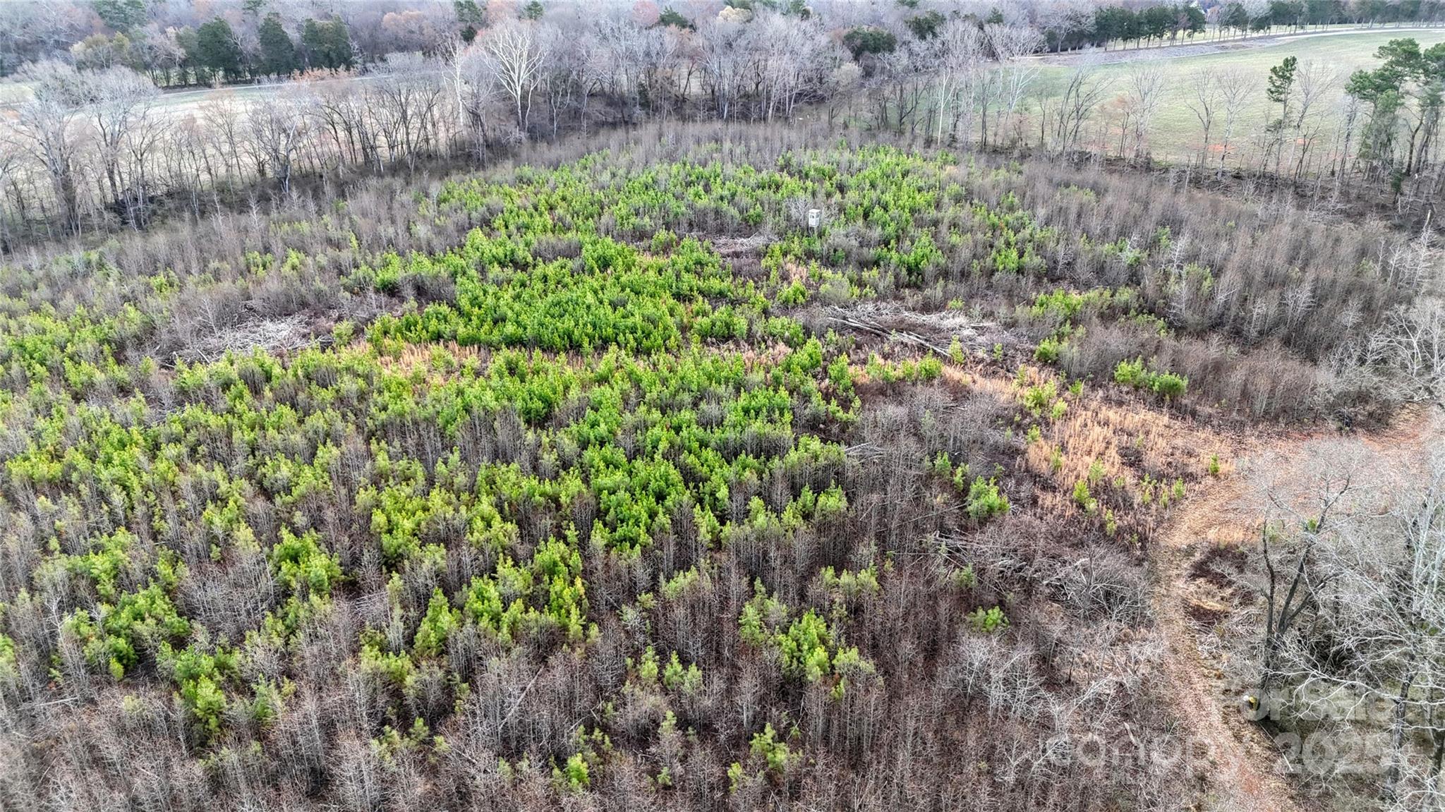 7718 Pleasant Hill Church Road Marshville, NC 28103 - Photo 16 of 17 a view of a garden with a tree