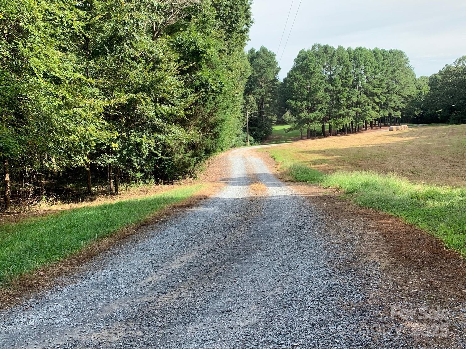 7718 Pleasant Hill Church Road Marshville, NC 28103 - Photo 2 of 17 a view of a yard with large trees