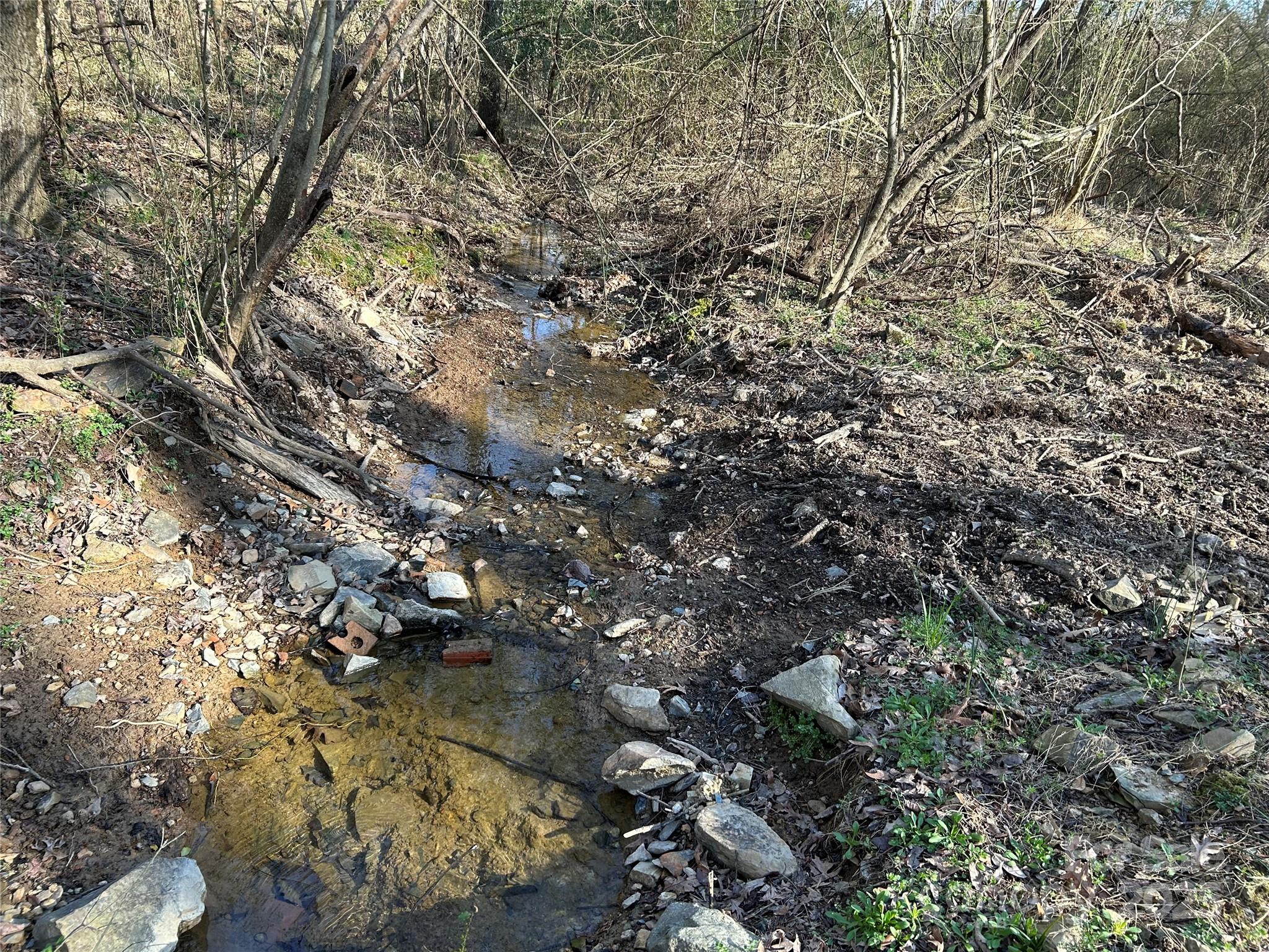 7718 Pleasant Hill Church Road Marshville, NC 28103 - Photo 3 of 17 a view of tree