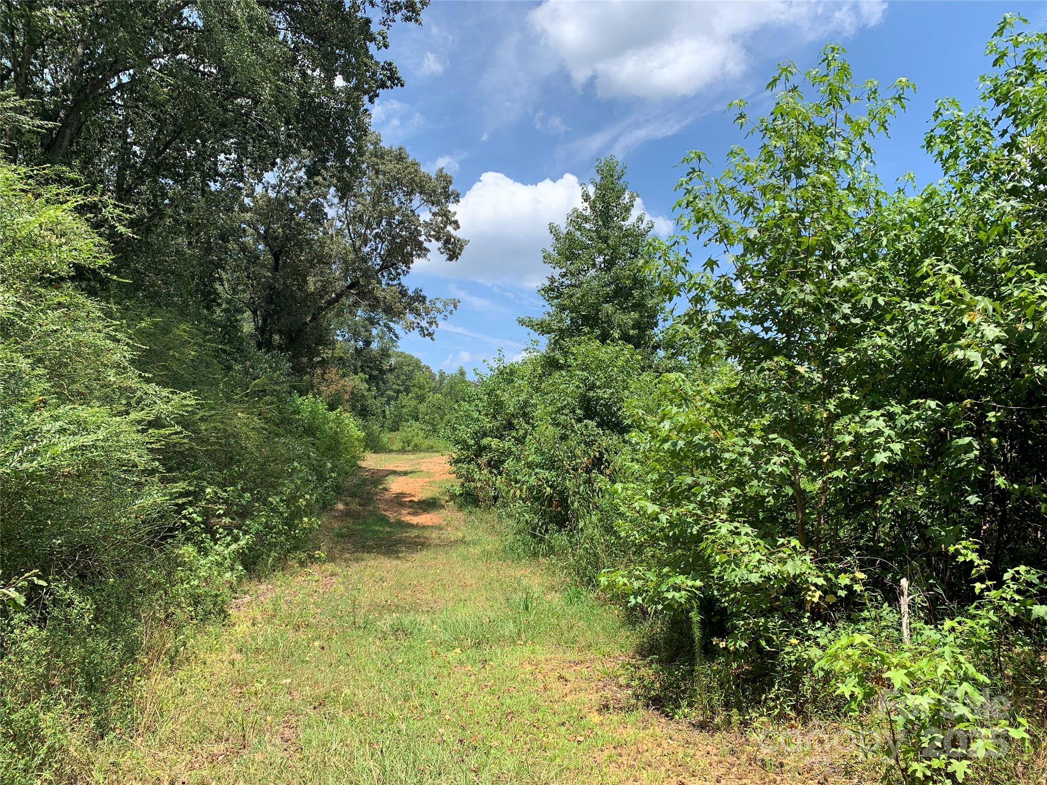 7718 Pleasant Hill Church Road Marshville, NC 28103 - Photo 4 of 17 a view of a tree with a yard