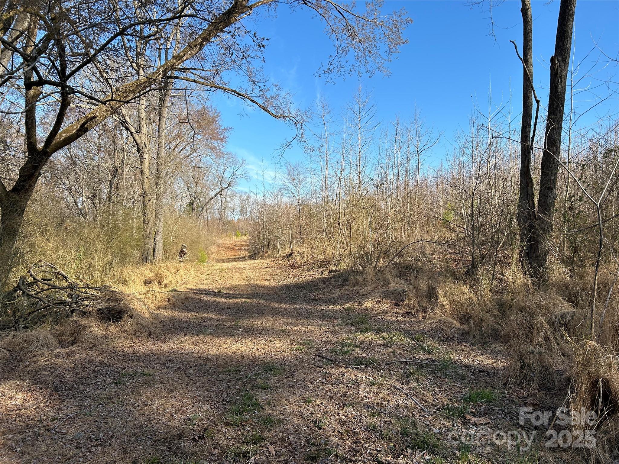 7718 Pleasant Hill Church Road Marshville, NC 28103 - Photo 6 of 17 a view of yard with trees