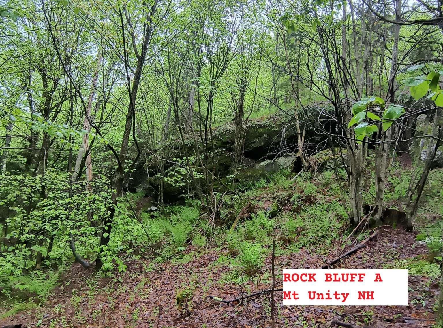 495 Mica Mine Road Claremont, NH 03743 - Photo 27 of 32