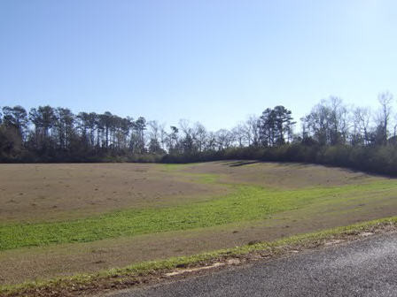Mt Herman Road Osyka, MS 39657 - Photo 1 of 1 Main View