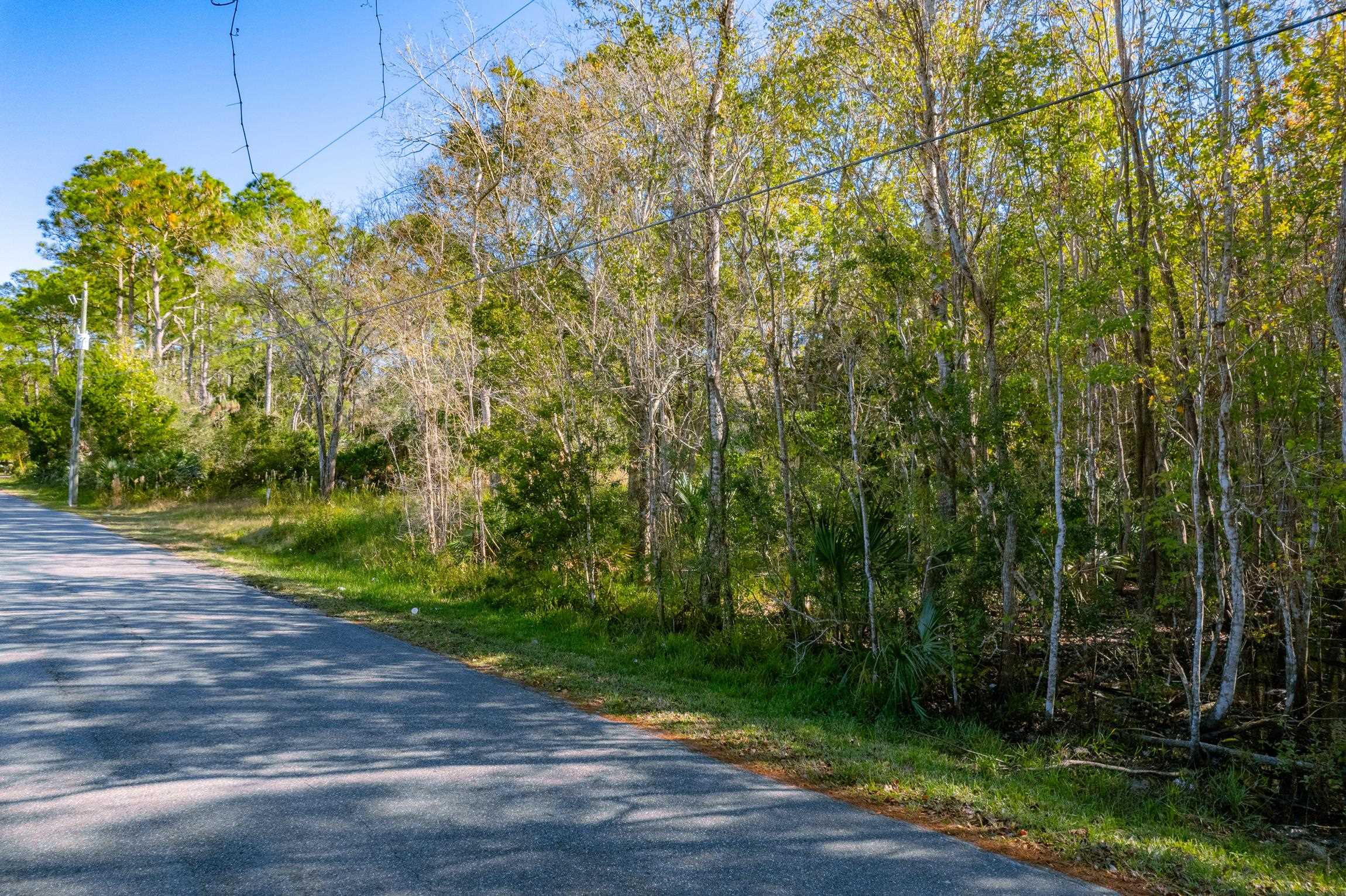 1017 Josiah Street St. Augustine, FL 32084 - Photo 12 of 14 a view of a yard with plants and large trees