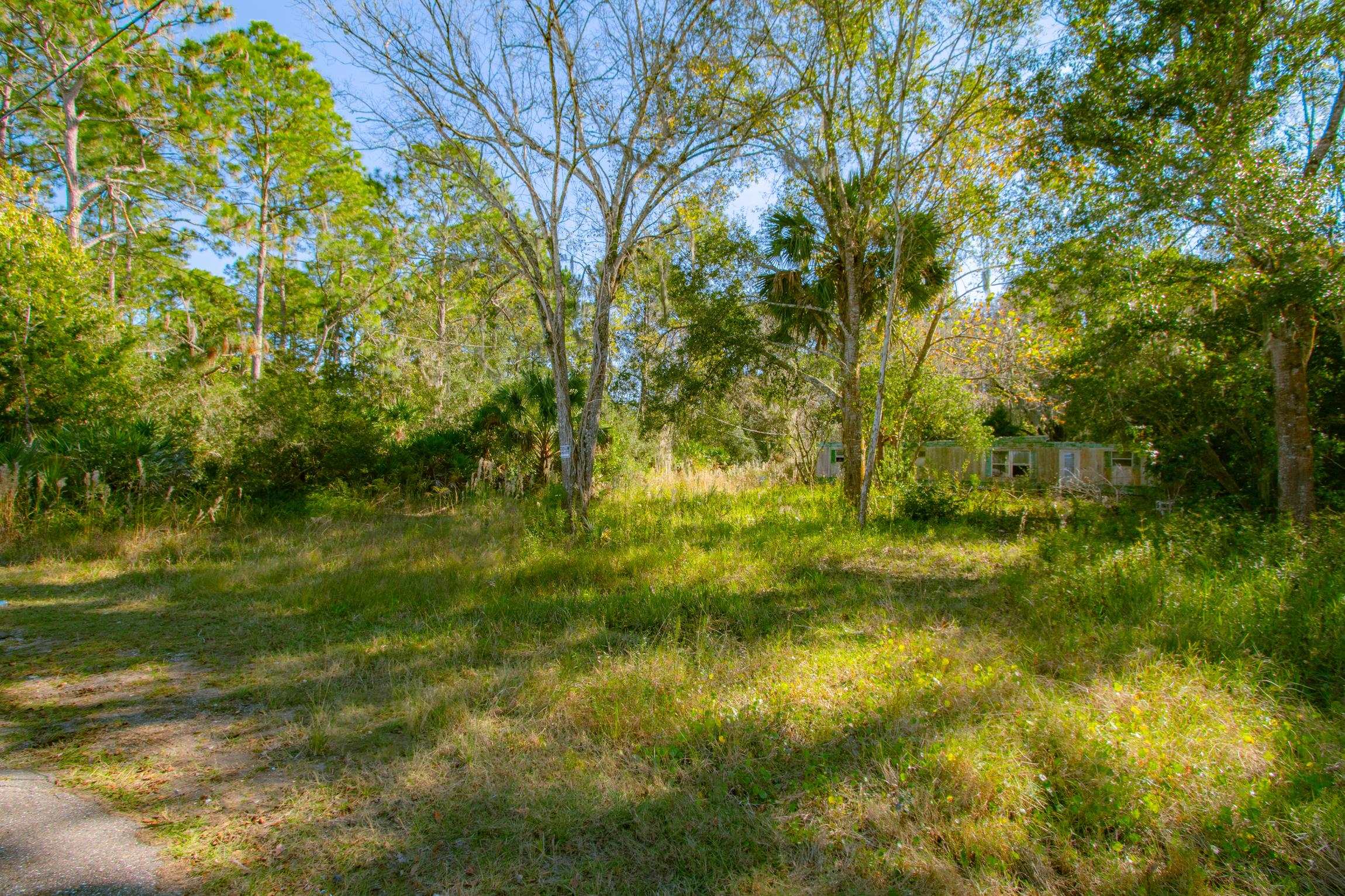 1017 Josiah Street St. Augustine, FL 32084 - Photo 13 of 14 a view of yard