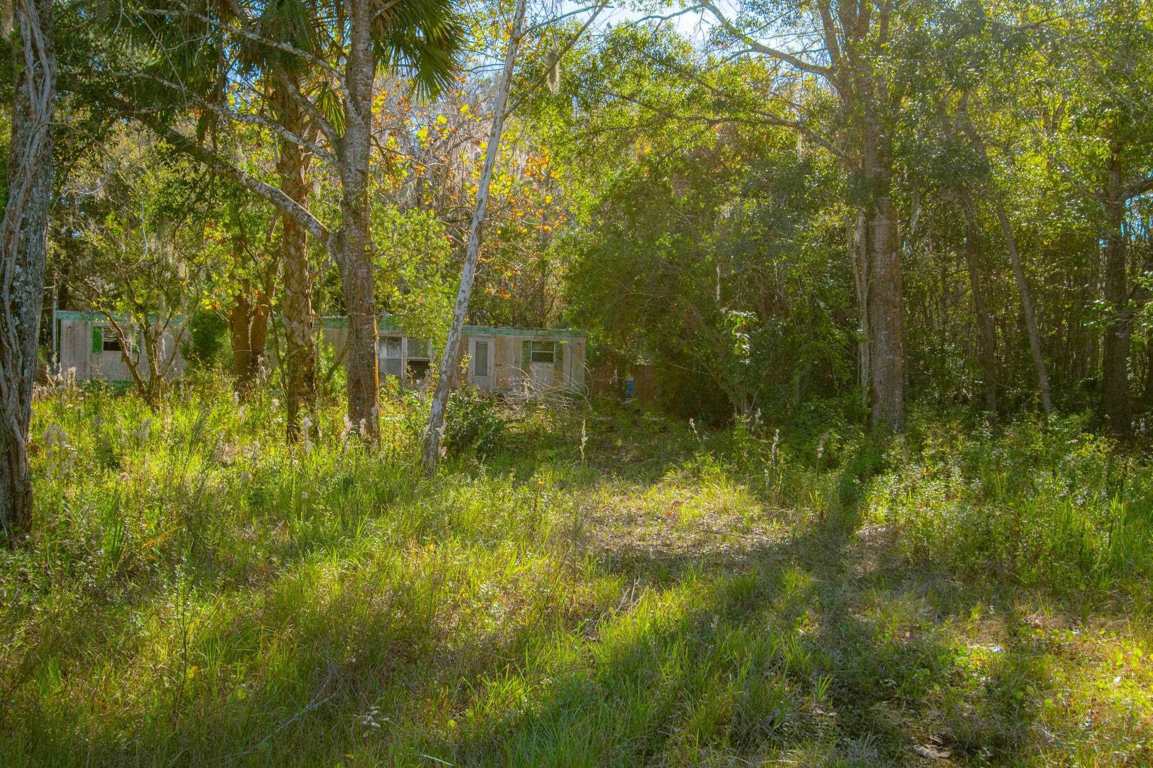 1017 Josiah Street St. Augustine, FL 32084 - Photo 14 of 14 a view of a garden