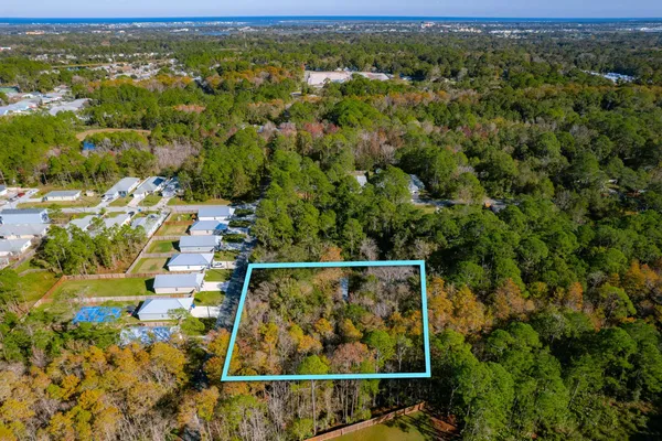 a view of a forest from a balcony