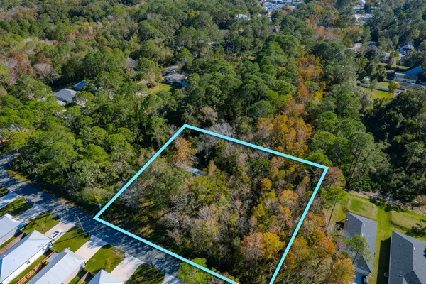 a view of a yard with plants and large trees