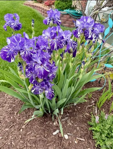 $387,500 | 1405 Kearney Drive, Dardenne Prairie, MO 63368