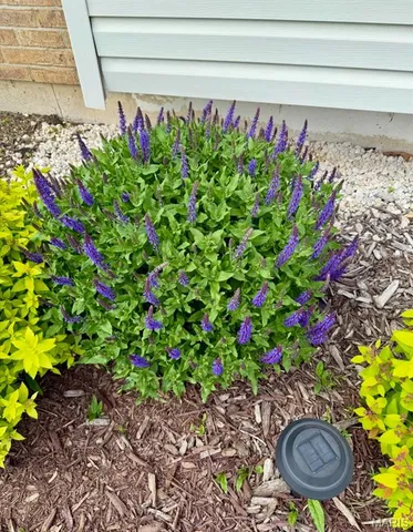 $387,500 | 1405 Kearney Drive, Dardenne Prairie, MO 63368