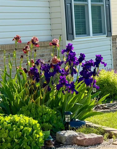 $387,500 | 1405 Kearney Drive, Dardenne Prairie, MO 63368