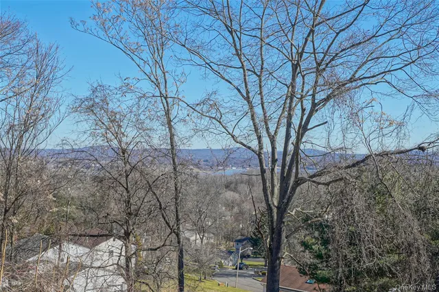 a view of tree in the middle of a house