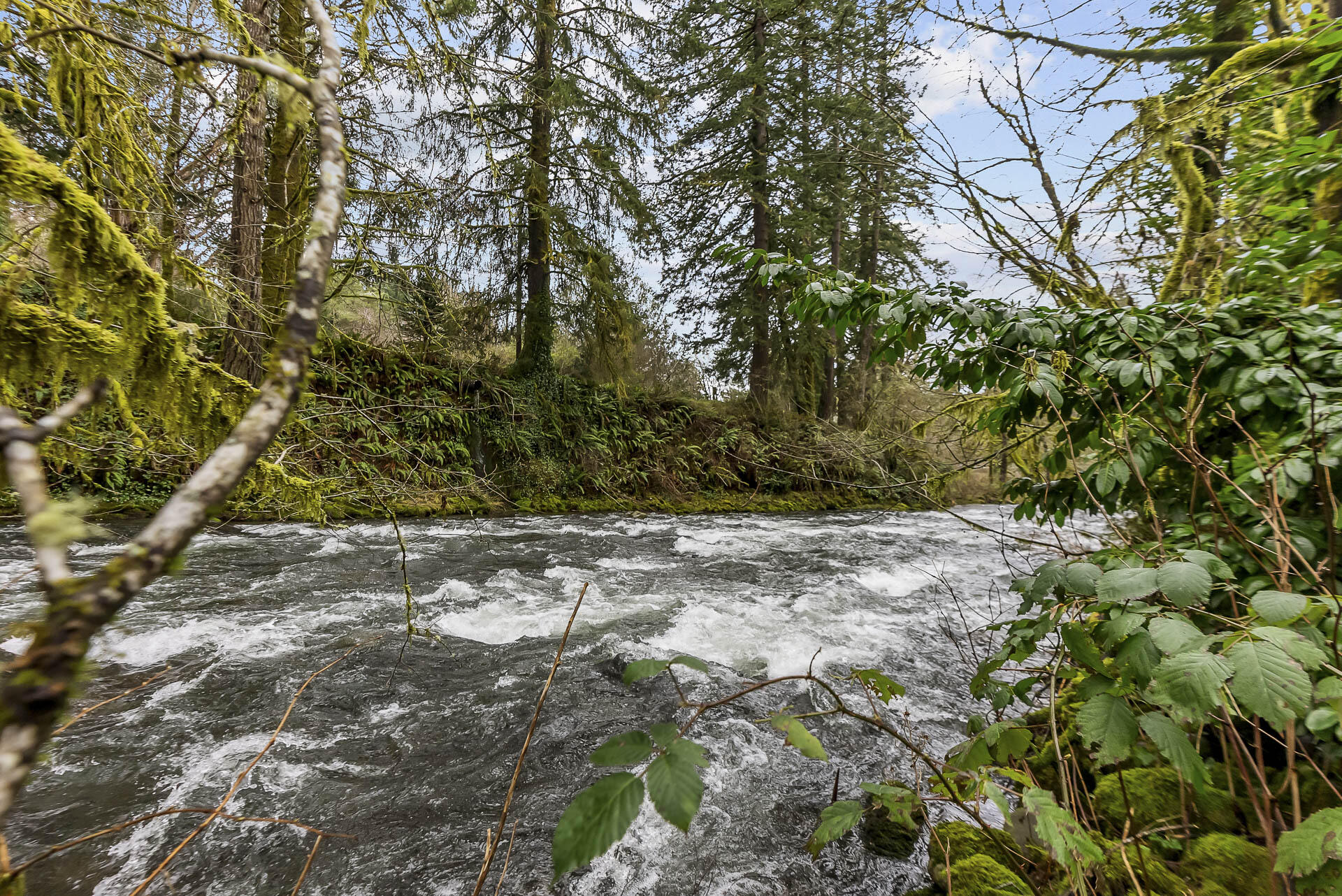 400 North Slick Rock Creek Road Otis, OR 97368 - Photo 15 of 20 Beautiful Views & River