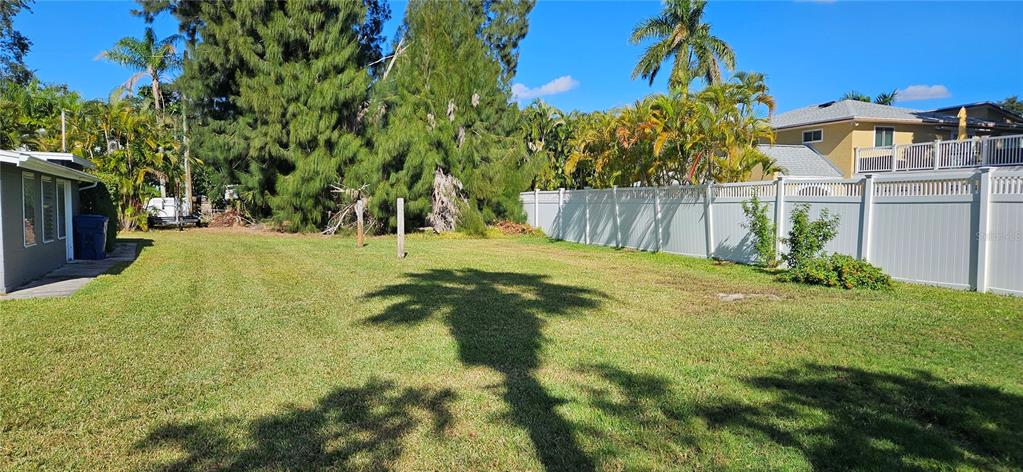 Tennessee Avenue Palm Harbor, FL 34683 - Photo 2 of 10 a view of a yard with plants and a large tree