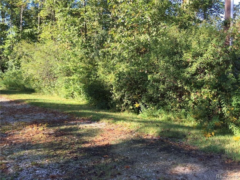 0 Cedar Island Road White Lake, MI 48386 - Photo 9 of 9