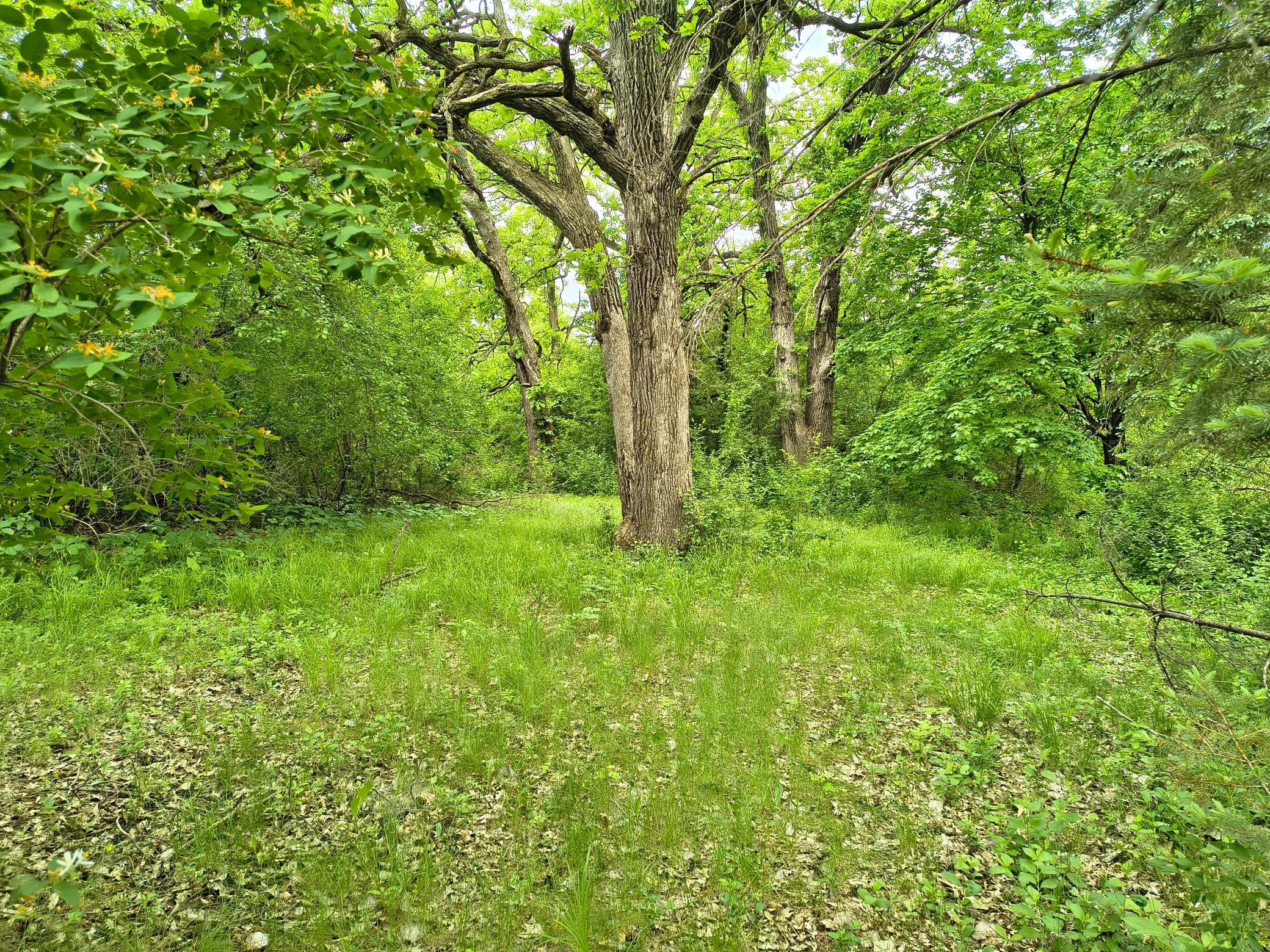 15808 County Road 49 Cold Spring, MN 56320 - Photo 8 of 54