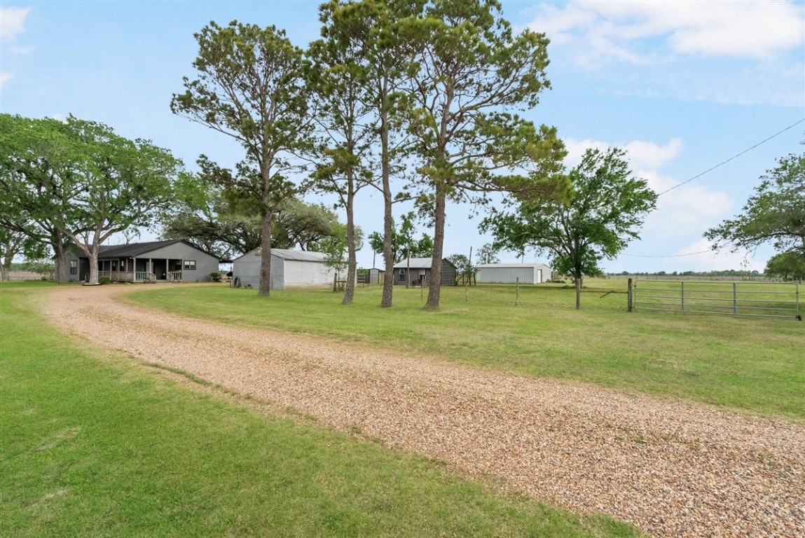 13339 Bj Dusek Road Wallis, TX 77485 - Photo 26 of 39 This rural property features a charming home set against a backdrop of mature trees, with a gravel driveway leading to a spacious yard. The setting offers a peaceful, open landscape ideal for country living.