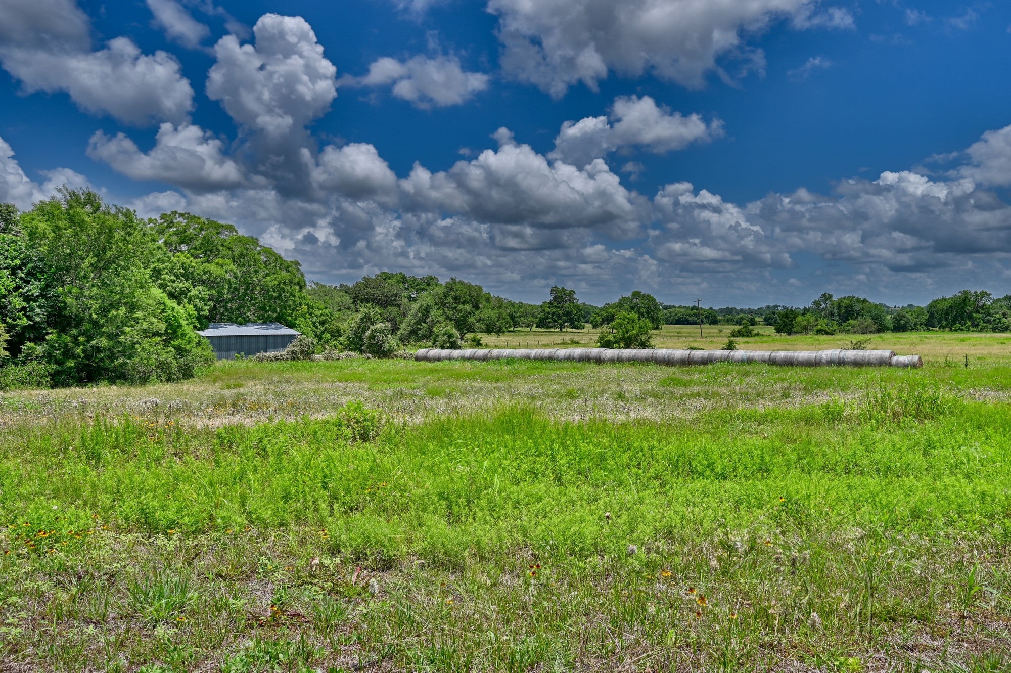 1552 Holub Road Schulenburg, TX 78956 - Photo 41 of 45