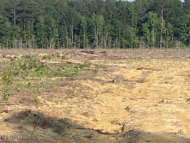 D Bates Road Morton, MS 39117 - Photo 12 of 19 IMG_9232