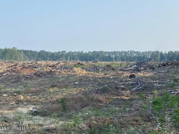$395,950 | D Bates Road, Morton, MS 39117