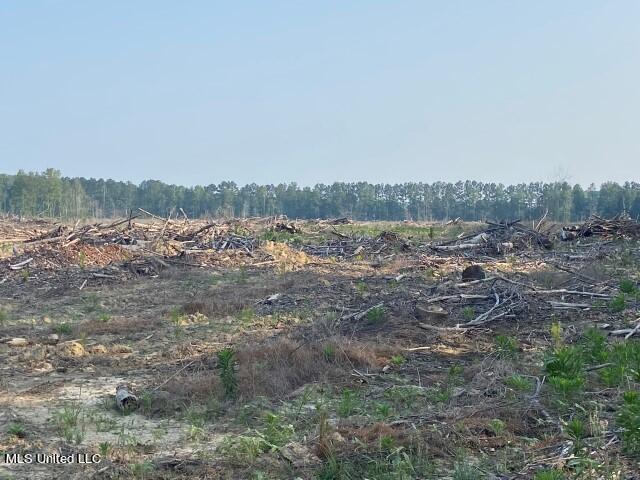 D Bates Road Morton, MS 39117 - Photo 14 of 19 IMG_9234