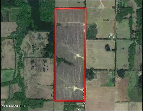 D Bates Road Morton, MS 39117 - Photo 2 of 19 aerial