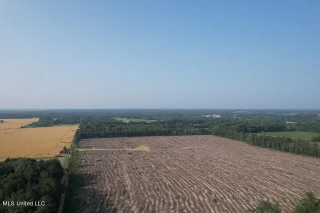 $380,550 | D Bates Road, Morton, MS 39117