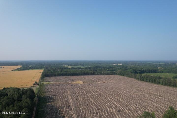 D Bates Road Morton, MS 39117 - Photo 4 of 19 DJI_0188