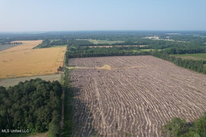 D Bates Road Morton, MS 39117 - Photo 5 of 19 DJI_0189