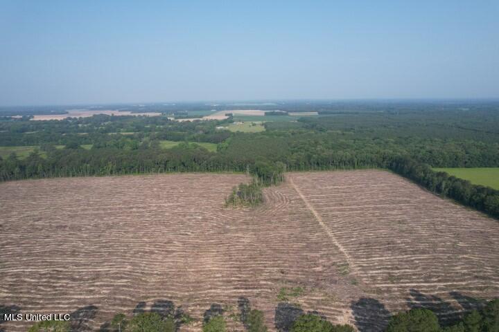 D Bates Road Morton, MS 39117 - Photo 7 of 19 DJI_0191
