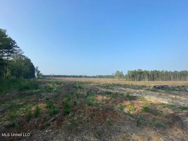 $395,950 | D Bates Road, Morton, MS 39117
