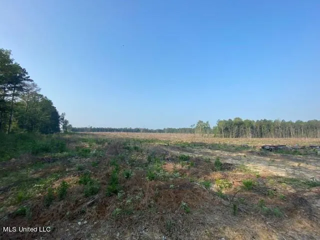 $380,550 | D Bates Road, Morton, MS 39117