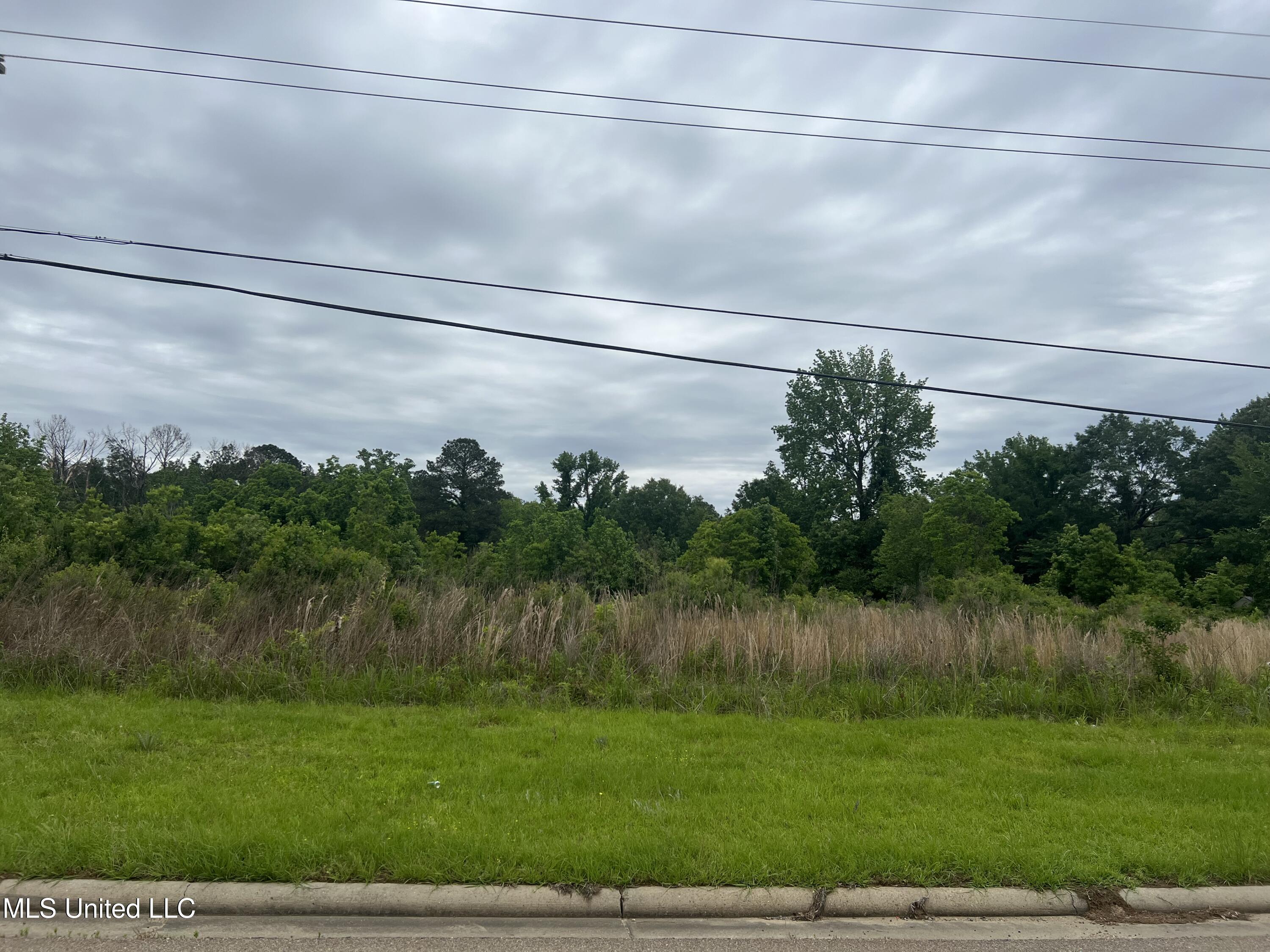 2524 Highway 468 Pearl, MS 39208 - Photo 2 of 5 IMG_1169