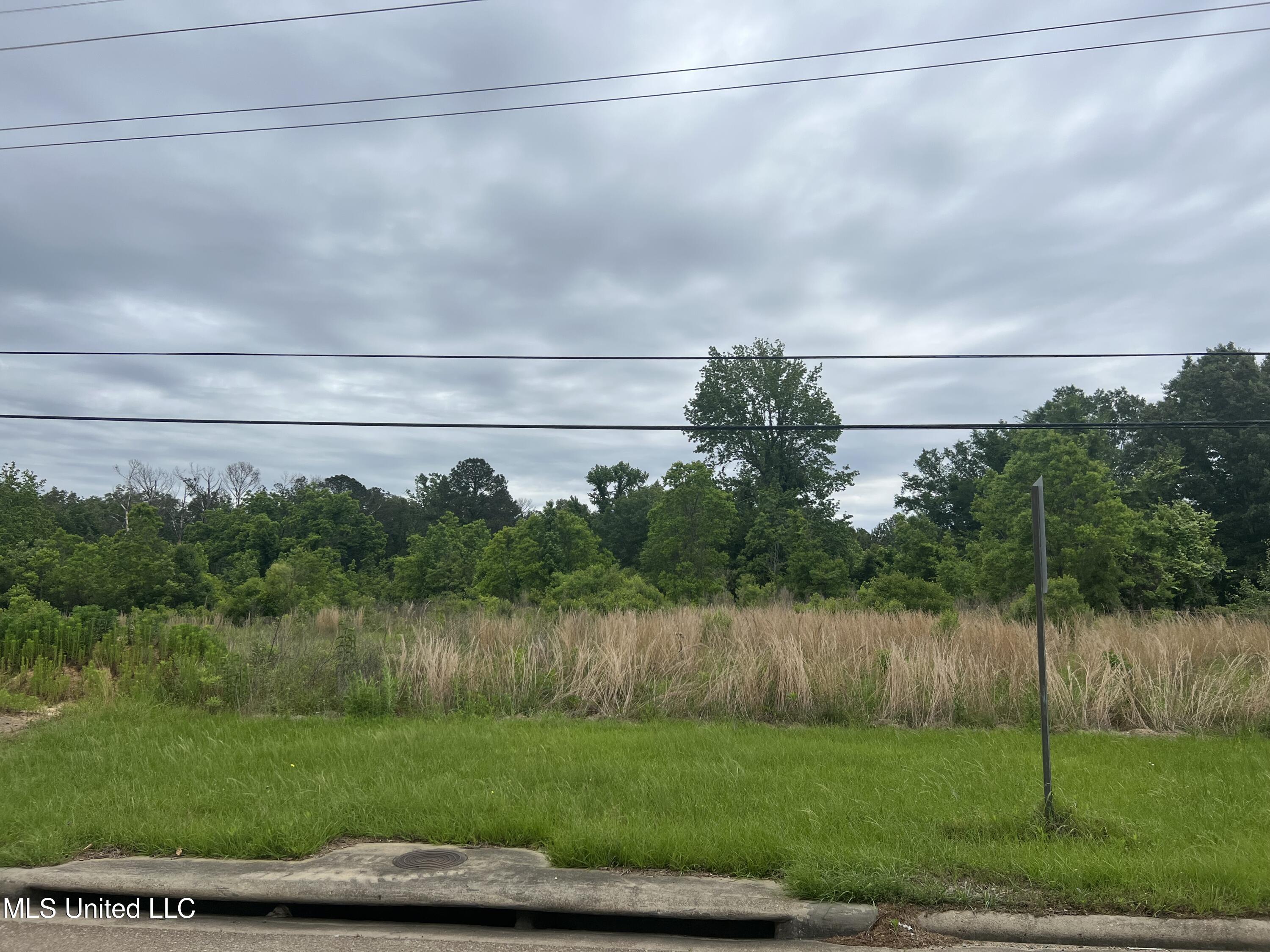 2524 Highway 468 Pearl, MS 39208 - Photo 3 of 5 IMG_1170