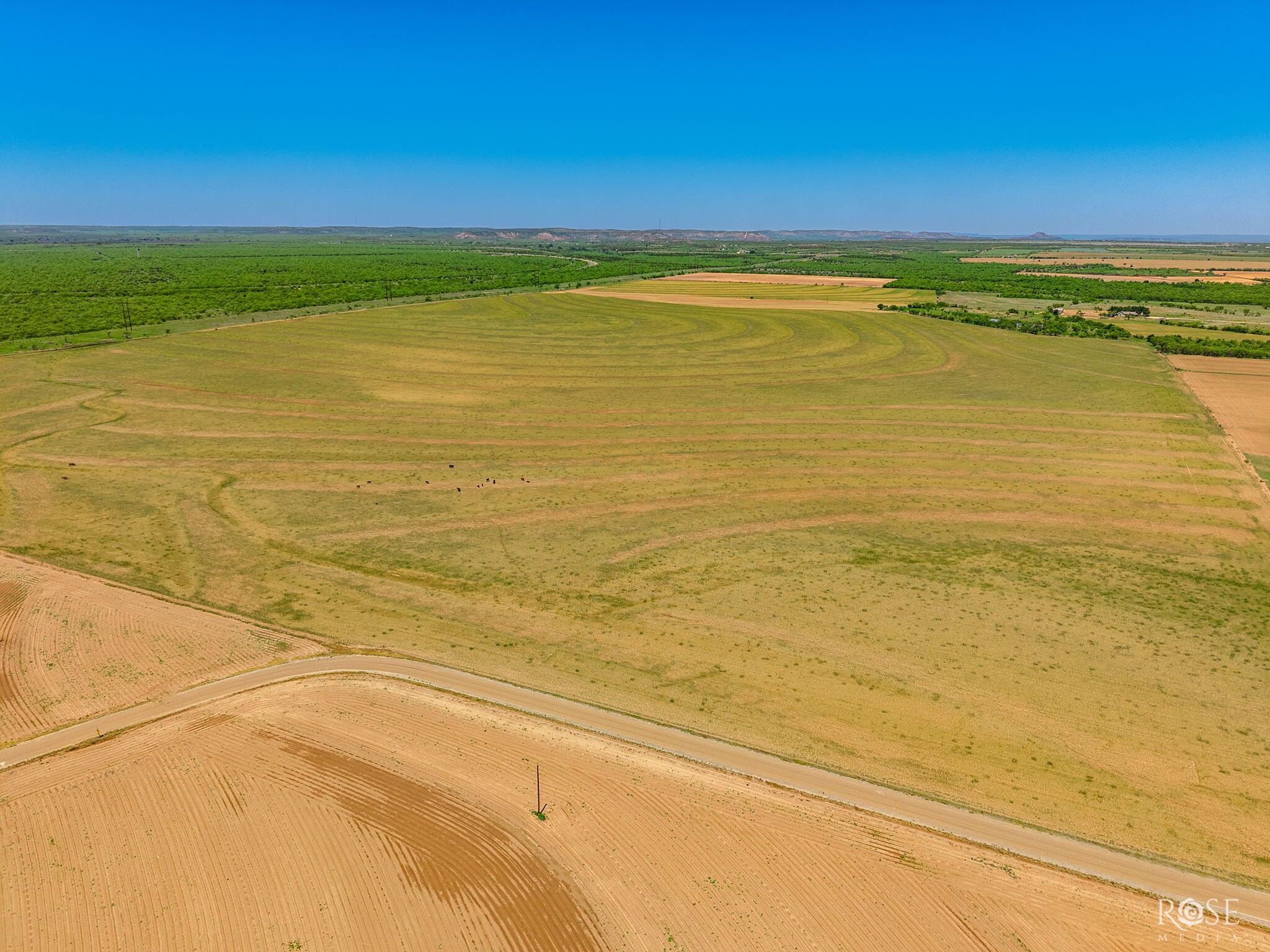 13249 Tennyson Road Miles, TX 76861 - Photo 6 of 6 1-web-or-mls-image - 2-1