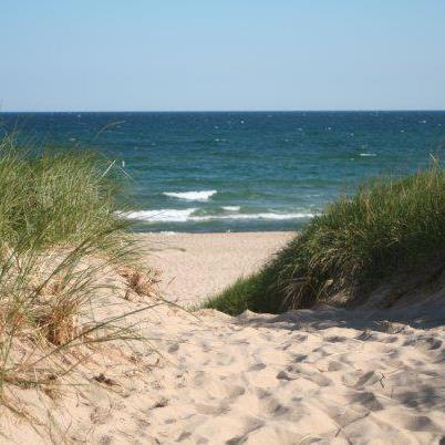 832 North Vanderburg Street Gary, IN 46403 - Photo 41 of 44 402x402