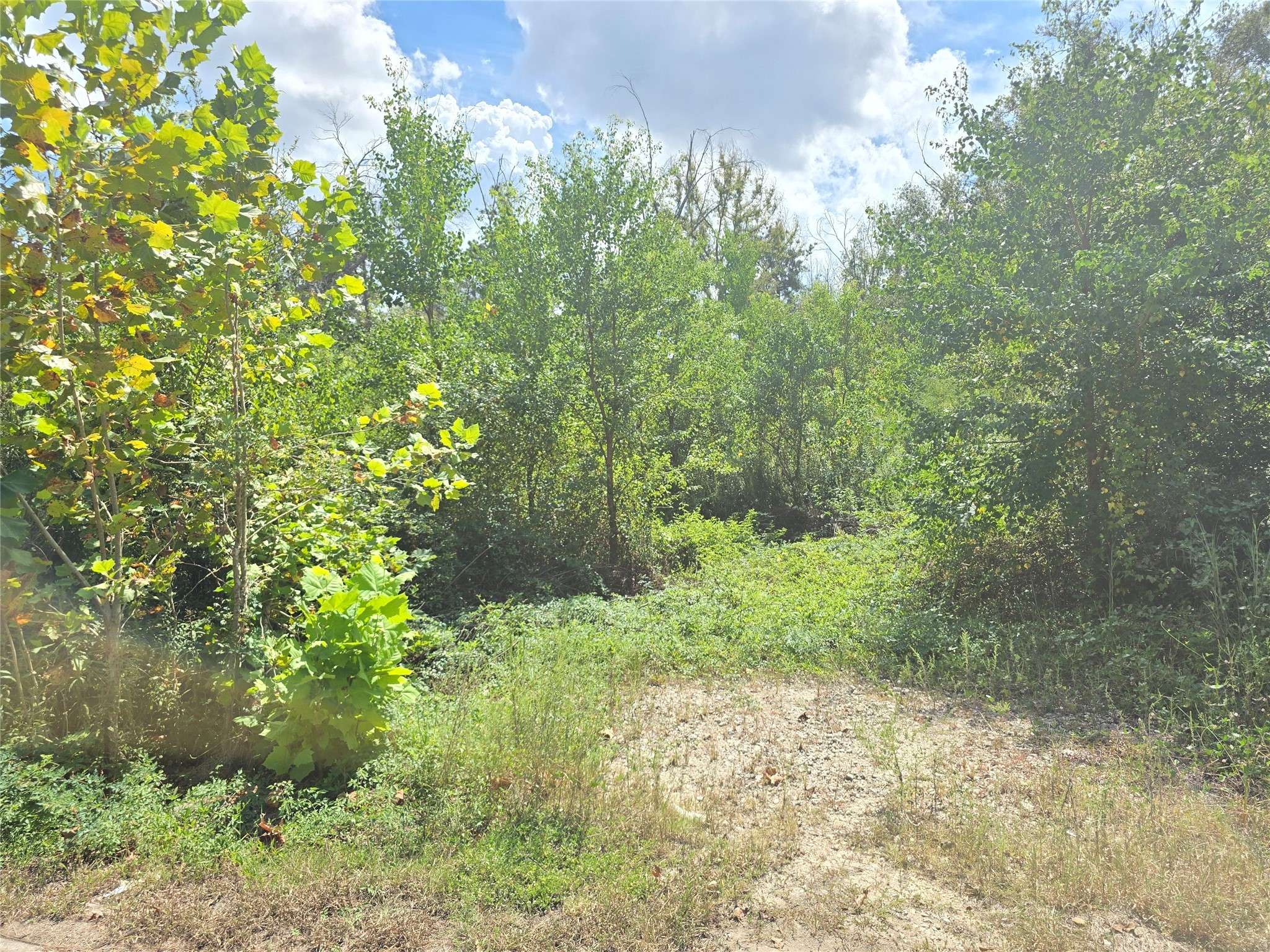 Tbd Short Street Splendora, TX 77372 - Photo 2 of 2 a view of a garden with plants
