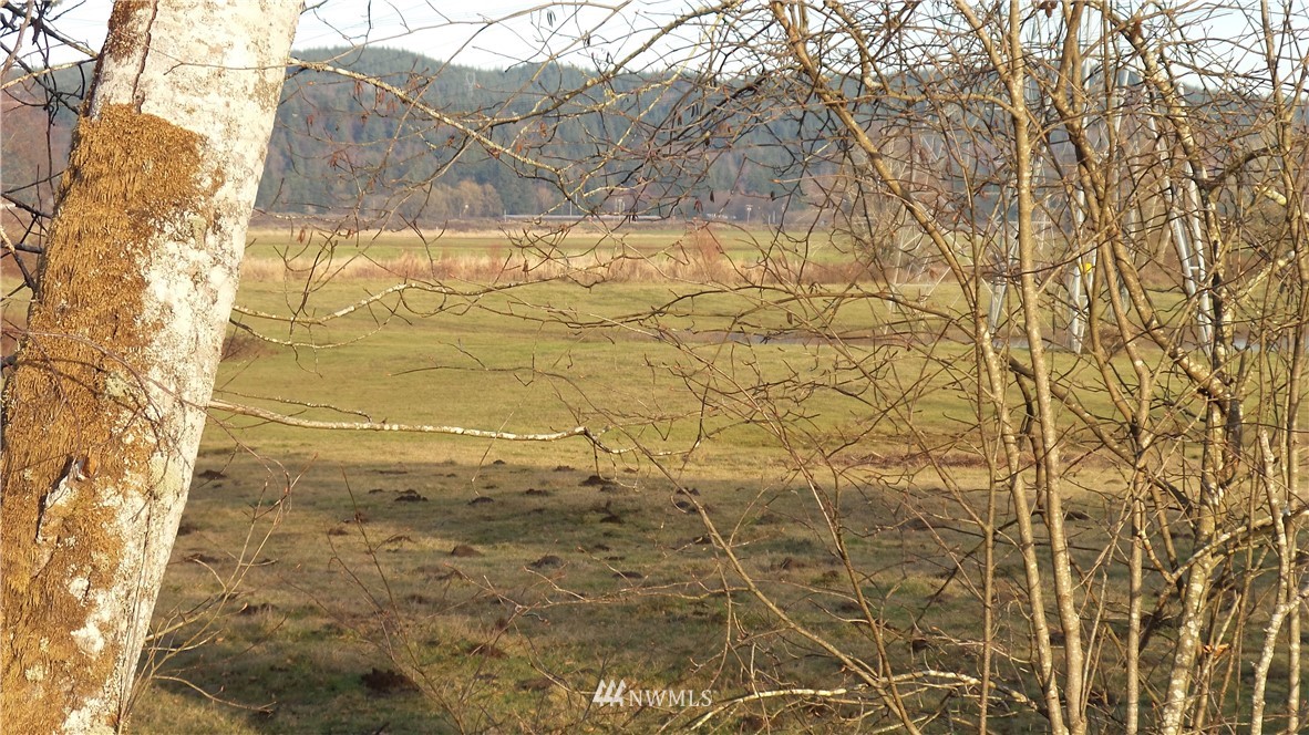 0 Taylor Ferry Road Elma, WA 98541 - Photo 1 of 18 Gallery Image 1