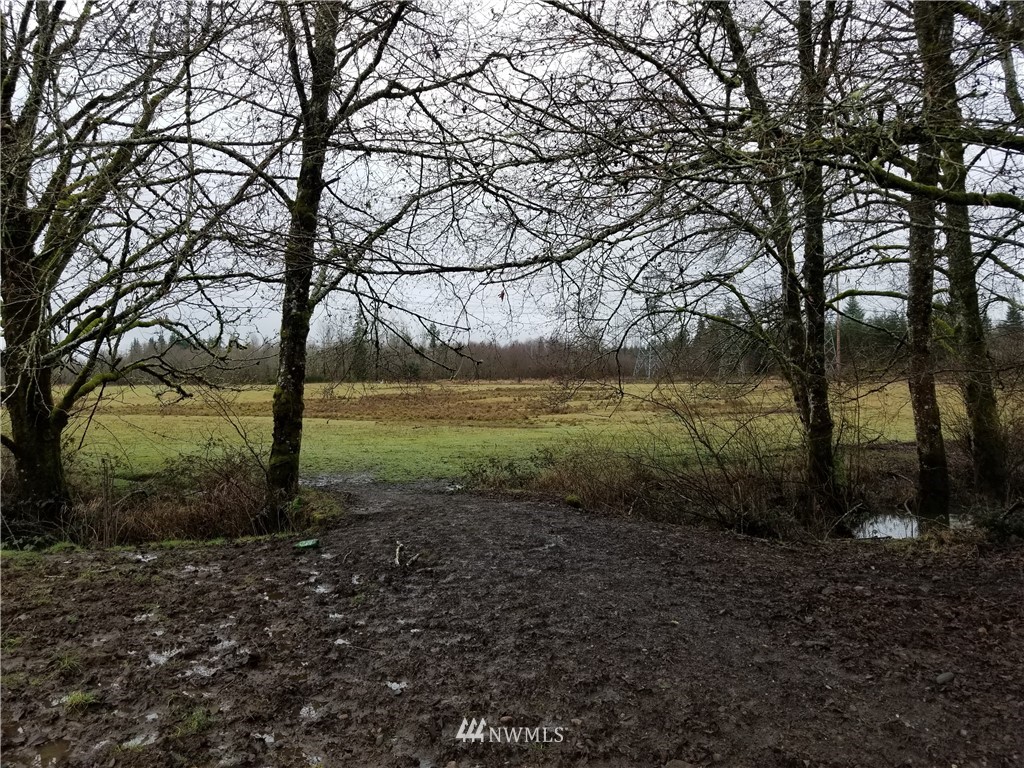 0 Taylor Ferry Road Elma, WA 98541 - Photo 13 of 18 Gallery Image 13