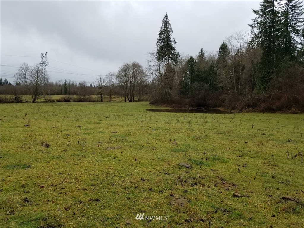 0 Taylor Ferry Road Elma, WA 98541 - Photo 17 of 18 Gallery Image 17