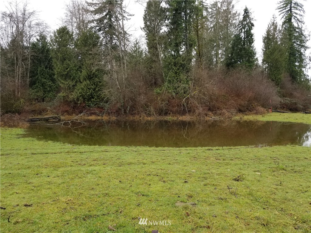 0 Taylor Ferry Road Elma, WA 98541 - Photo 18 of 18 Gallery Image 18