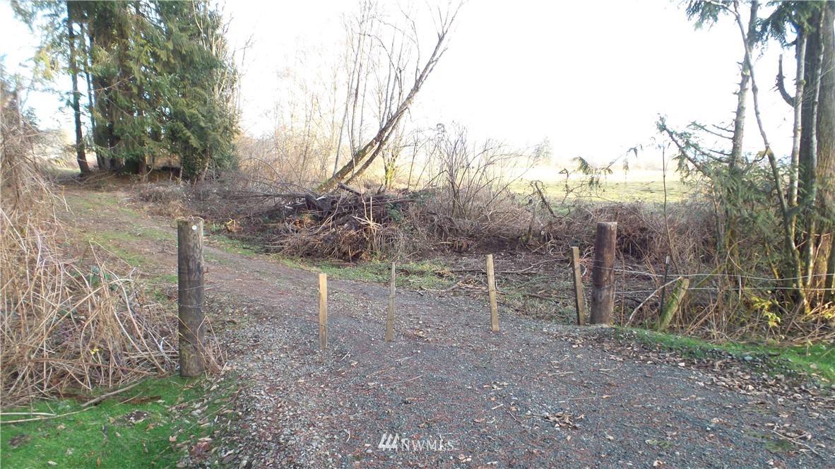 0 Taylor Ferry Road Elma, WA 98541 - Photo 5 of 18 Gallery Image 5