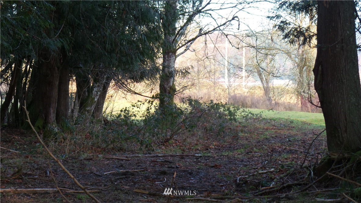0 Taylor Ferry Road Elma, WA 98541 - Photo 7 of 18 Gallery Image 7